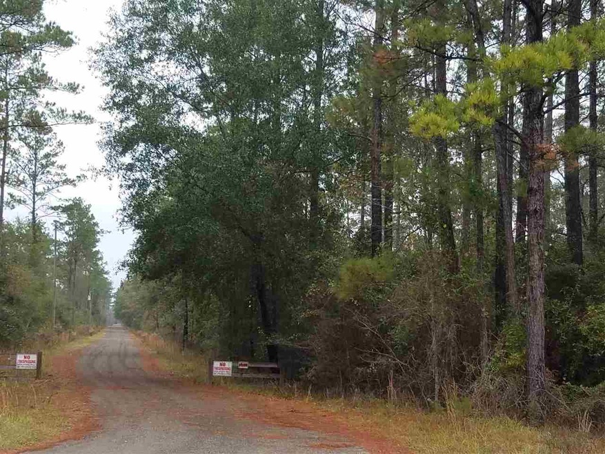 XXX Danley Grade, Crawfordville, FL 32327 - photo 1