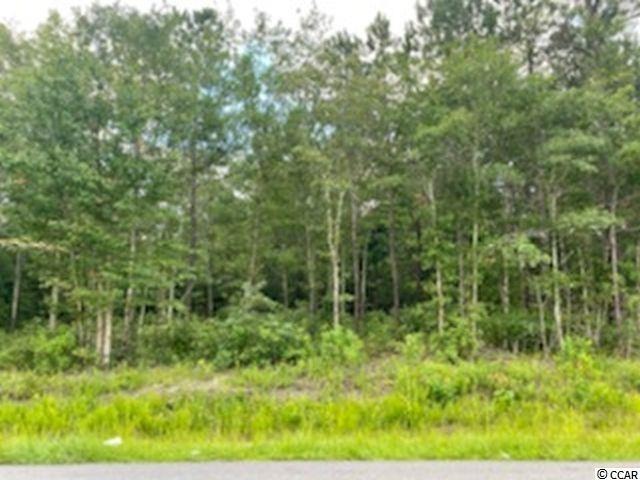 4998 Highway 472 unit Lot 8, Conway, SC 29526 - photo 1