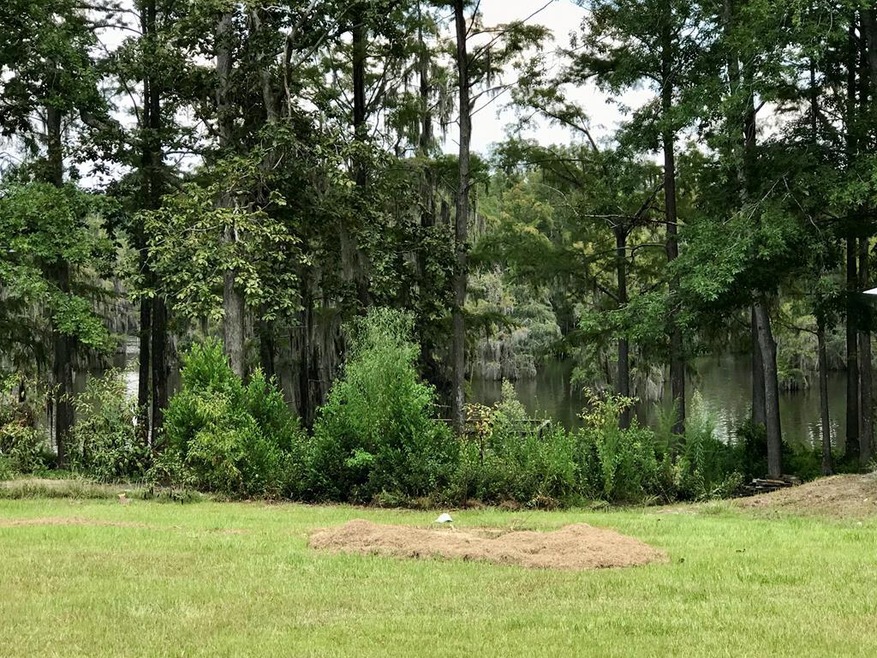 267 Mill Branch Rd, Warwick, GA 31796 - photo 1