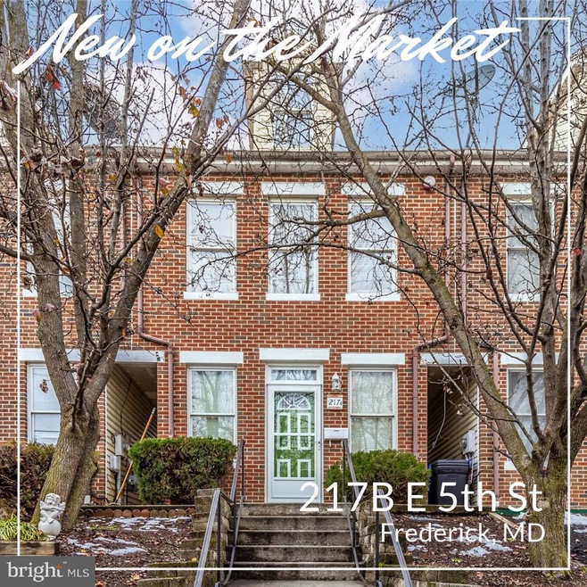 217B E 5th St, Frederick, MD 21701 - photo 1