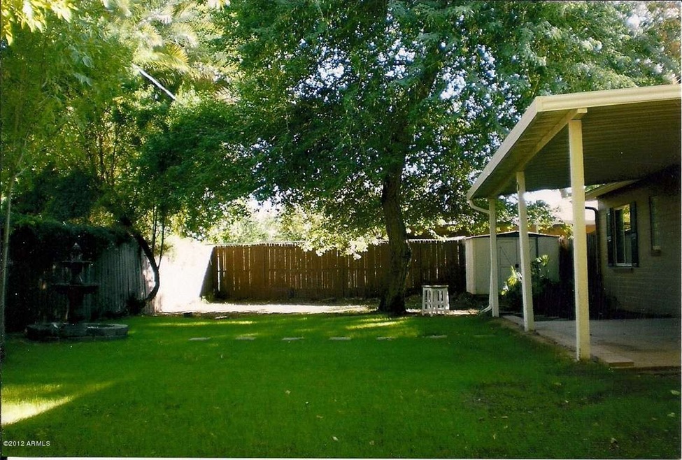 Backyard