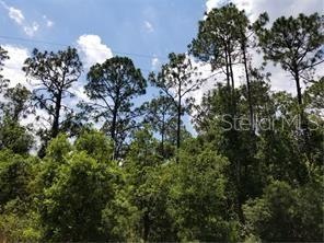 0 Bronco Dr unit S5022206, Saint Cloud, FL 34771 - photo 1