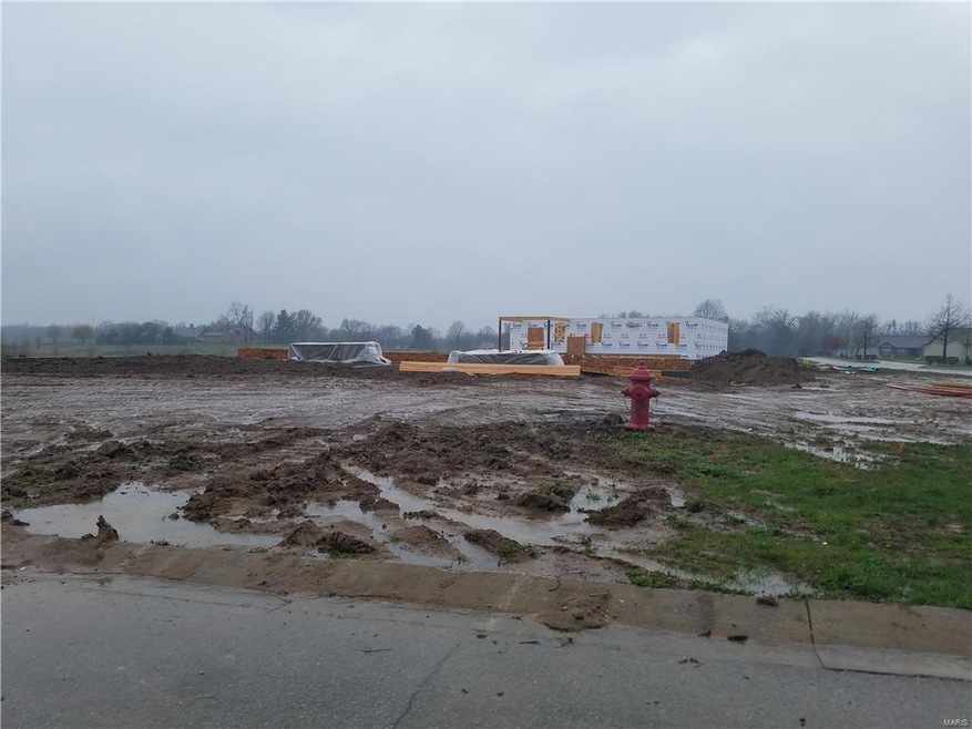 1851 Robins Mill Ct, Maryville, IL 62062 - photo 1