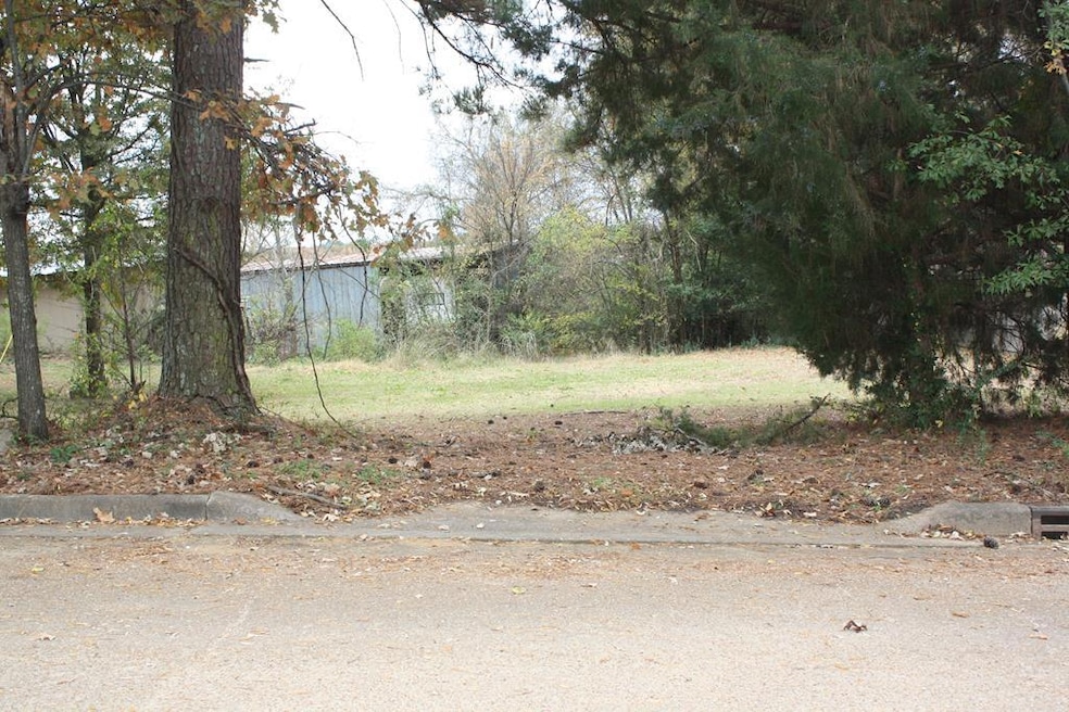 tbd Court St, Batesville, MS 38606 - photo 1