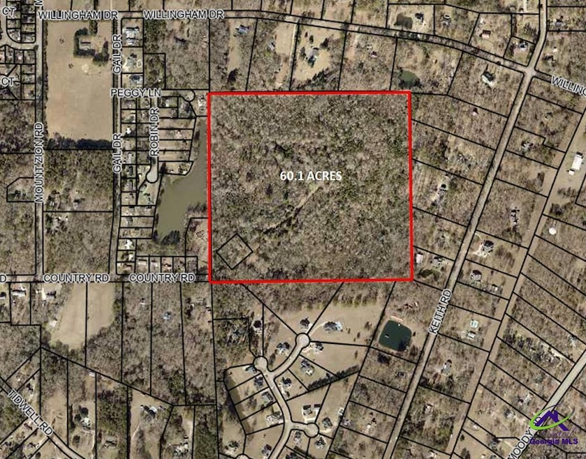 210 Country Rd, Bonaire, GA 31005 - photo 1