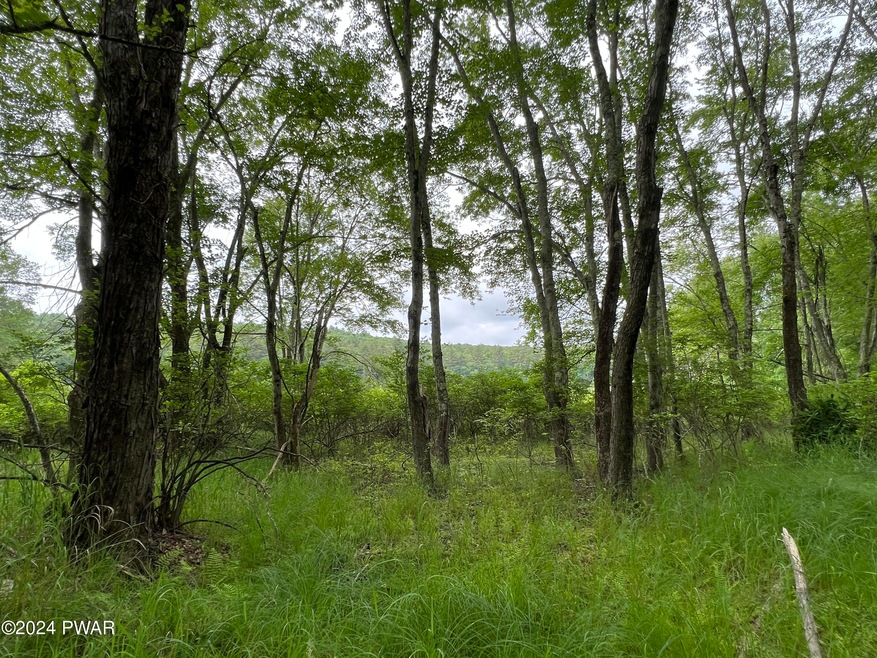 0 Westcolang Rd, Lackawaxen, PA 18435 - photo 1