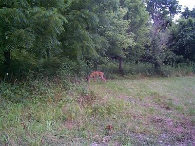 6 Palisades Trail, Salvisa, KY 40372 - photo 1