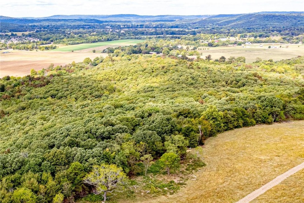 0 Long Tate Rd unit 1199062, Elkins, AR 72727 - photo 1