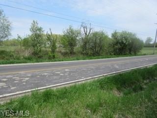 V/L E Hamilton St, New Russia, OH 44074 - photo 1