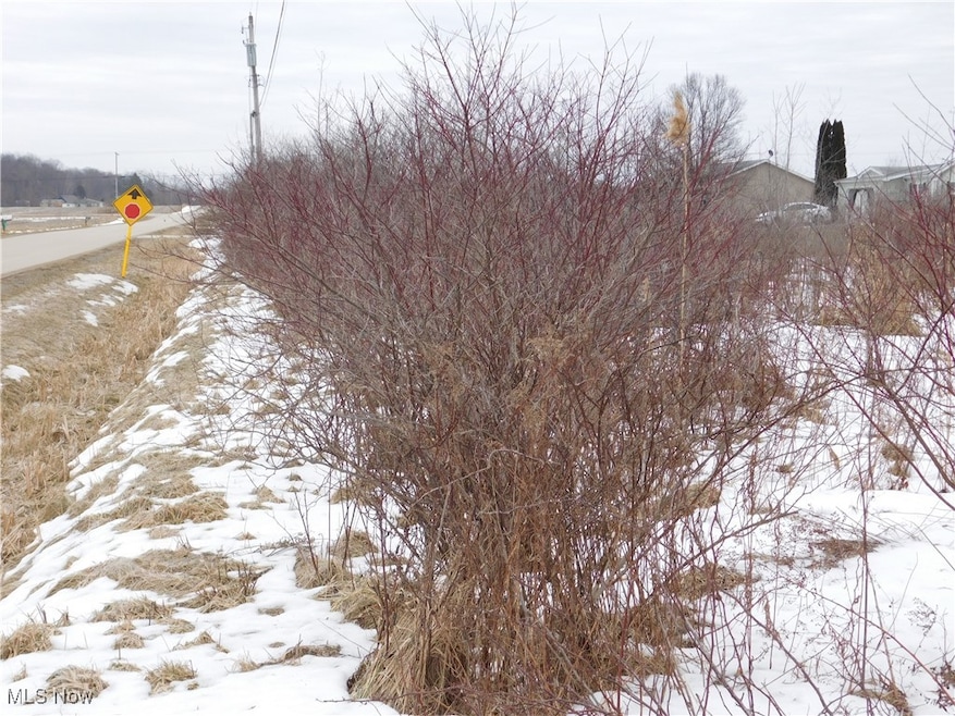 Sold $60,000 • Co-Listing Agent