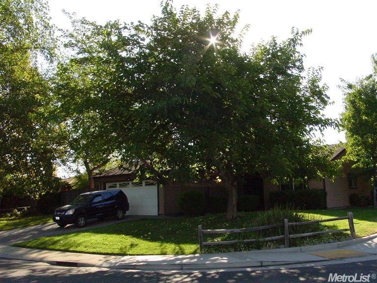 Corner Lot with lots of trees.