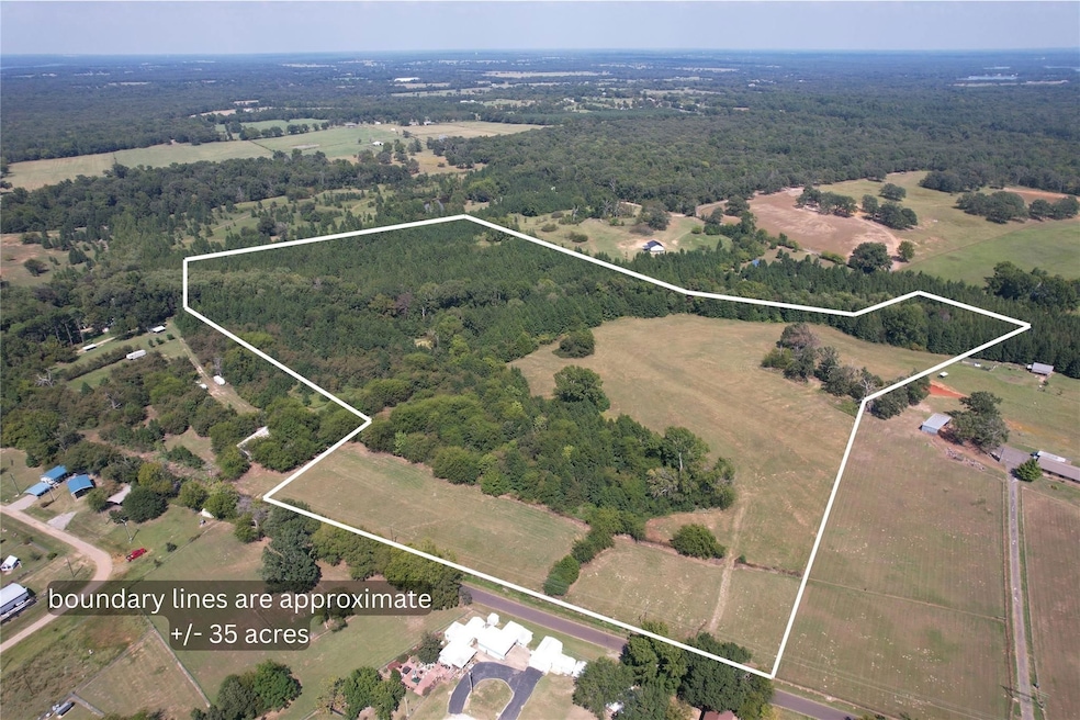 Tbd County Road 1226, Quitman, TX 75783 - photo 1
