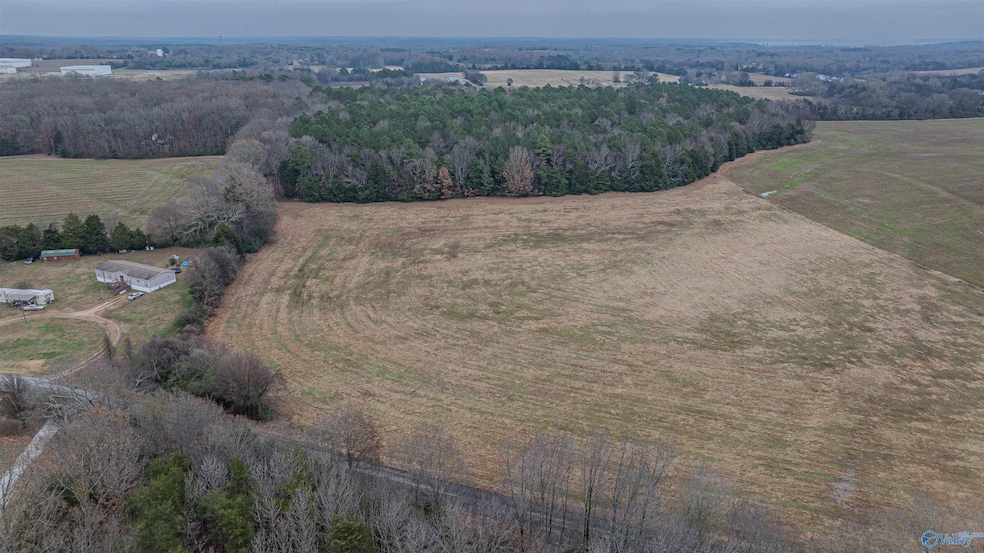 26 Acres Cooper Ln, Rogersville, AL 35652 - photo 1