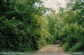 Sold $25,000 • Co-Listing Agent