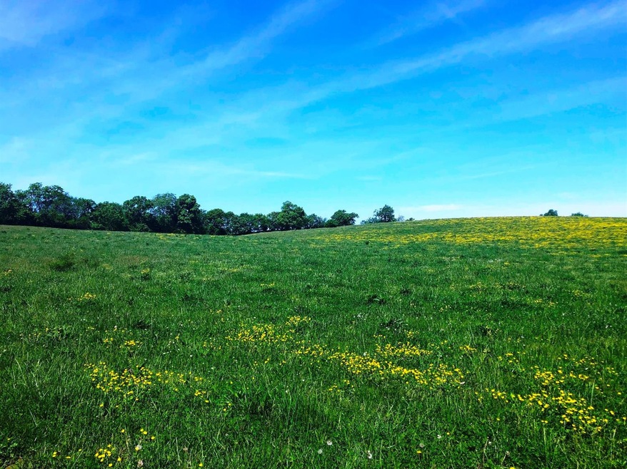 4535 Lexington Rd, Harrodsburg, KY 40330 - photo 1