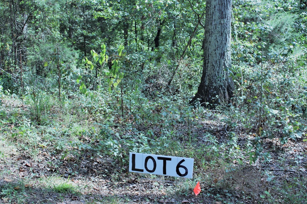 Lot 6 photo