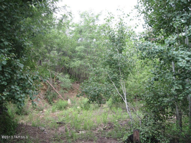 Flat Building site in lush vegetation