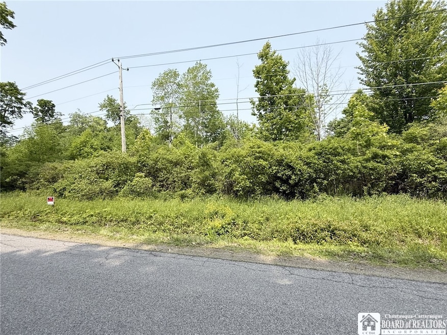 1479 Orr St Extension, Jamestown, NY 14701 - photo 1