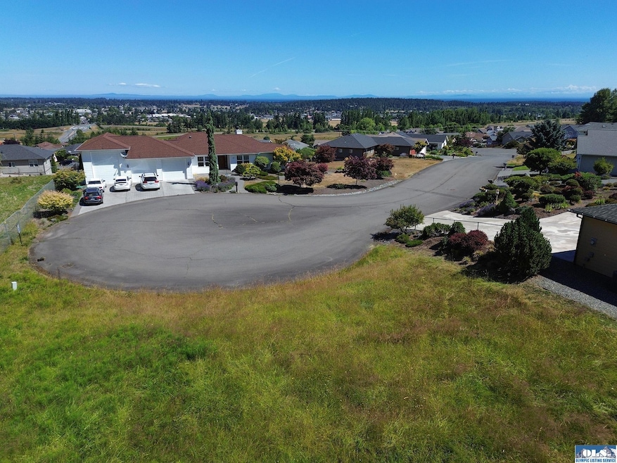 Lot 19 Topaz Way, Sequim, WA 98382 - photo 1