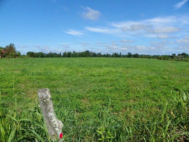 12 AC Jared Rd, Sparta, TN 38583 - photo 1