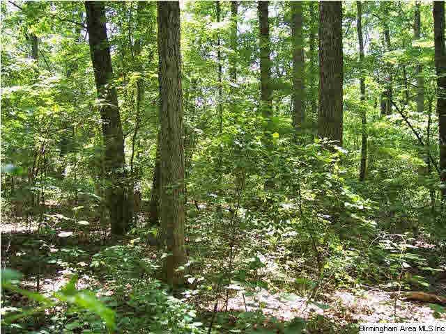 Fully wooded tract with mature beautiful hardwoods