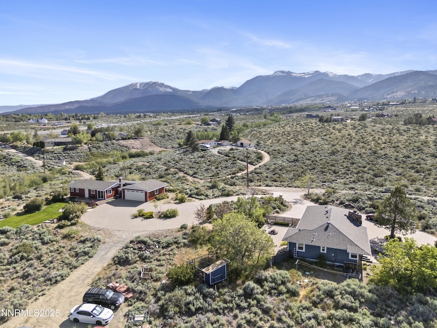 Drone with Mt rose