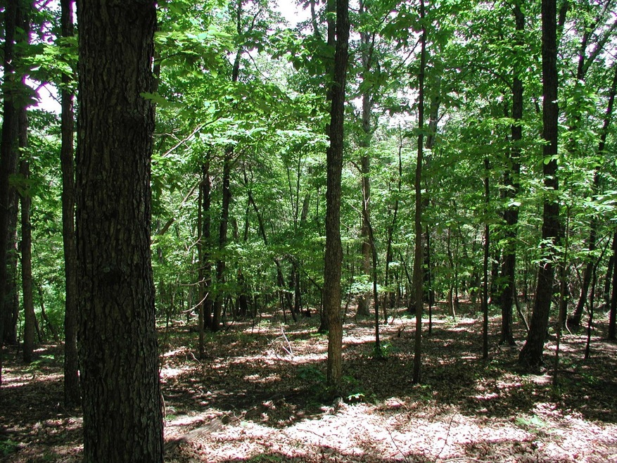 4.08 Acres