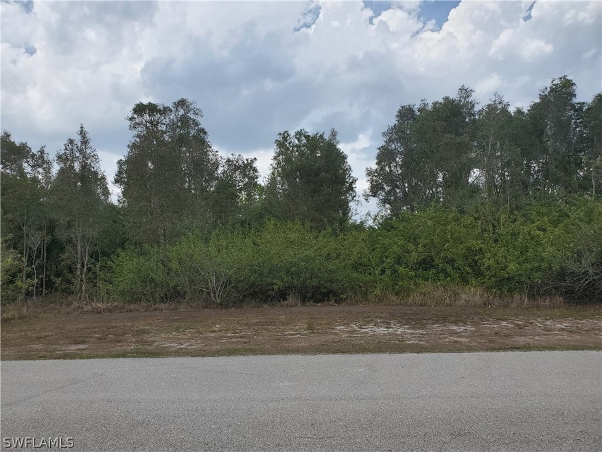 219 Magellan St, Fort Myers, FL 33913 - photo 1