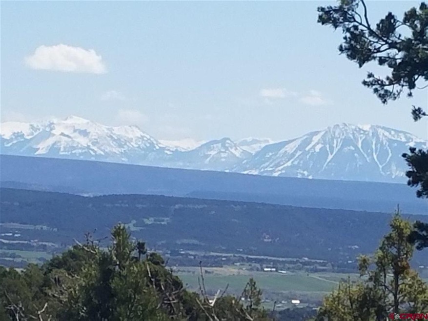 0 San Juan Vista Rd unit 730824, Cedaredge, CO 81413 - photo 1