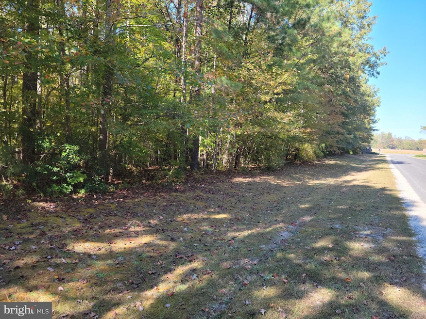 Lot 16 Steamboat Ln, Heathsville, VA 22473 - photo 1
