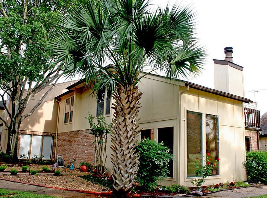 7815 Bateman Ln unit 7815, Houston, TX 77088 - photo 1