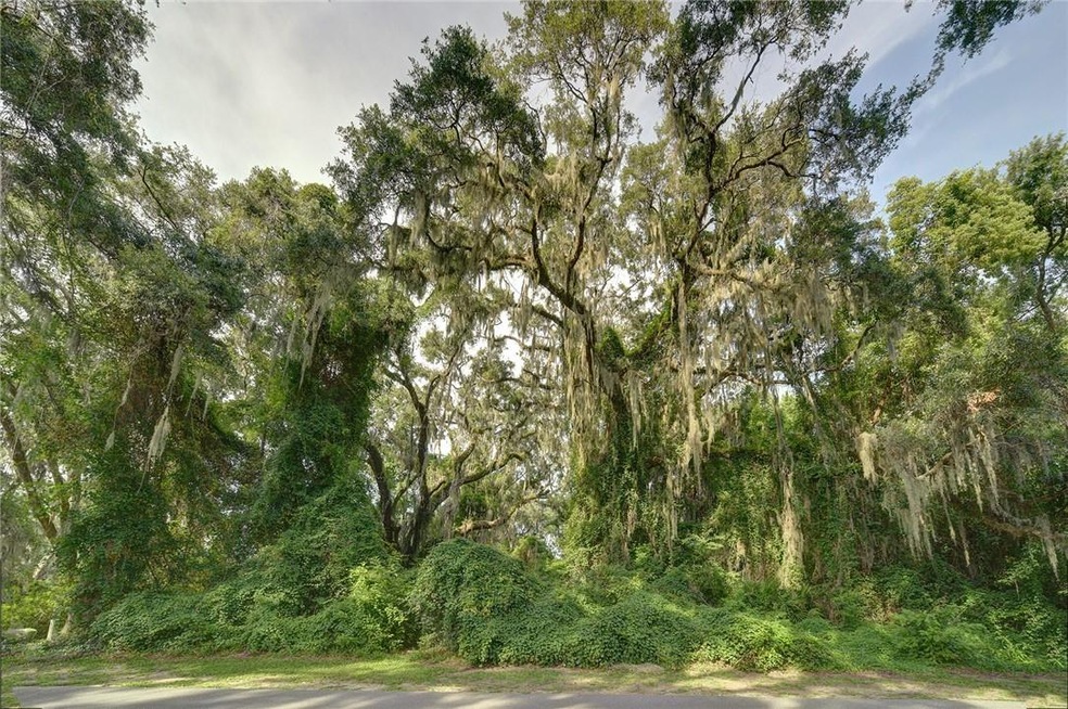 181 Merion, St. Simons Island, GA 31522 - photo 1