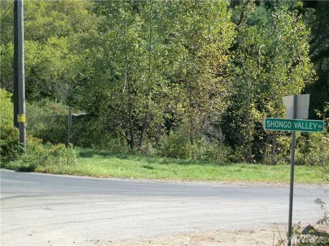 Land/Lot Corner of Shongo Valley Road