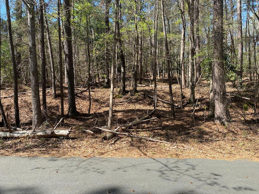 0 Sandra Dr unit 52382, Gray, GA 31032 - photo 1