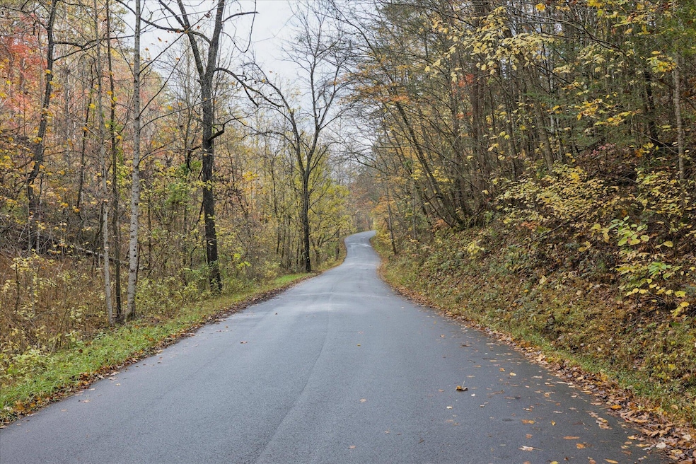 TBD Evans Chapel Rd, Sevierville, TN 37876 - photo 1