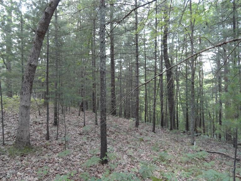 0 Grant St, Bitely, MI 49309 - photo 1