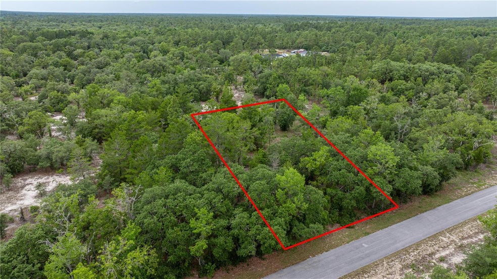 BLK 15 LOT 8 SW Little Cliffs Dr, Rainbow Lakes Estates, FL 34431 - photo 1