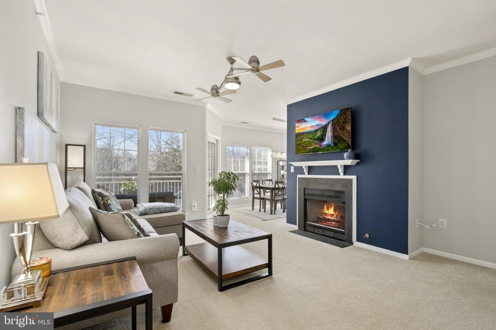 1519 N Point Dr unit 304, Reston, VA 20194 - photo 1