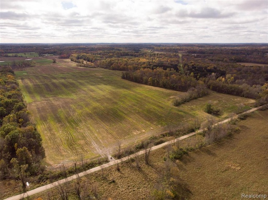 DJI_0610.jpg