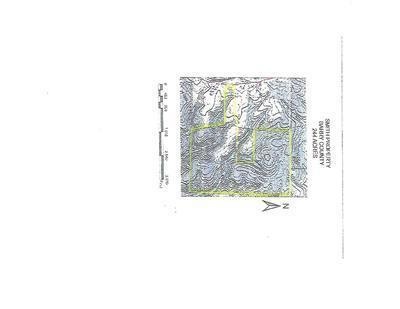 0 State Highway 248 unit 11101535, Jenkins, MO 65605 - photo 1