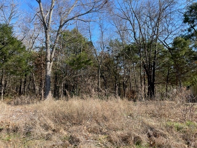 TBD Holcombe Ln, Bella Vista, AR 72714 - photo 1