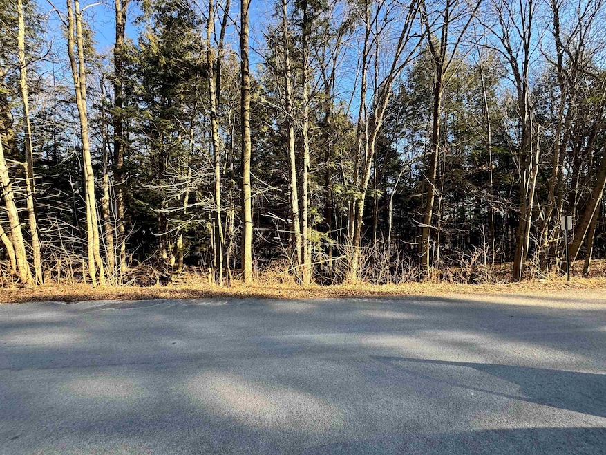 Lot 2 Buttercup Rd, Rib Mountain, WI 54401 - photo 1