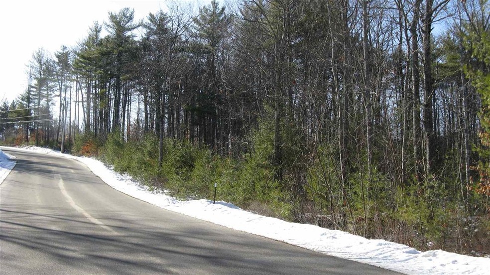 48 Chamberlin Way, New Durham, NH 03855 - photo 1