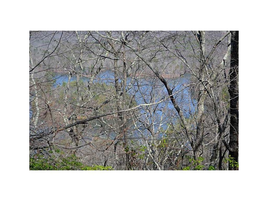 View. Great lake view lot! With a little vista pru