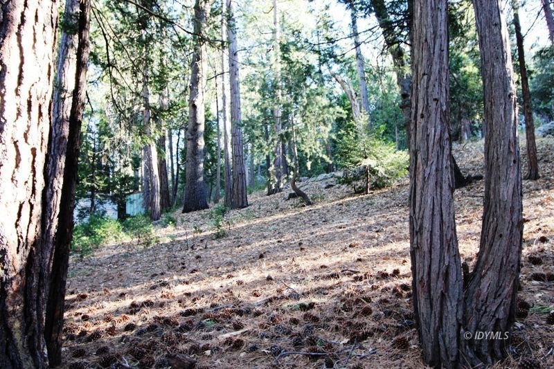 Sloping building lot