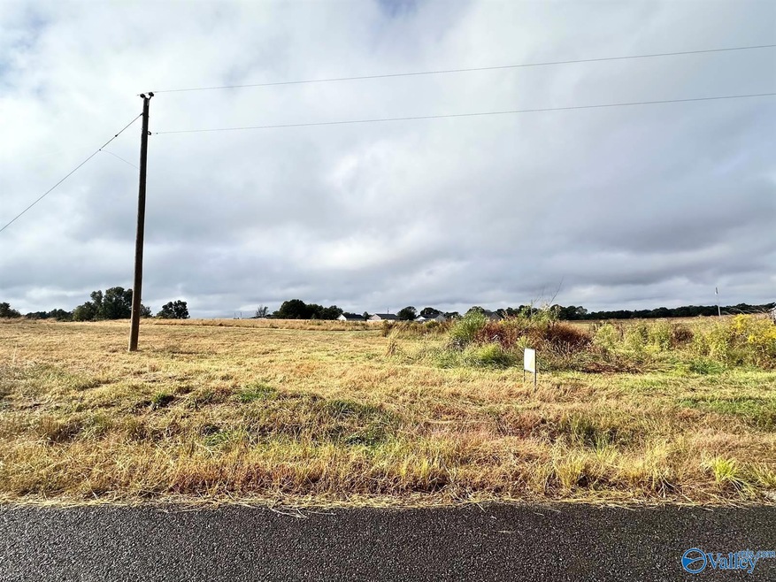 580 County Road 1663, Cullman, AL 35058 - photo 1