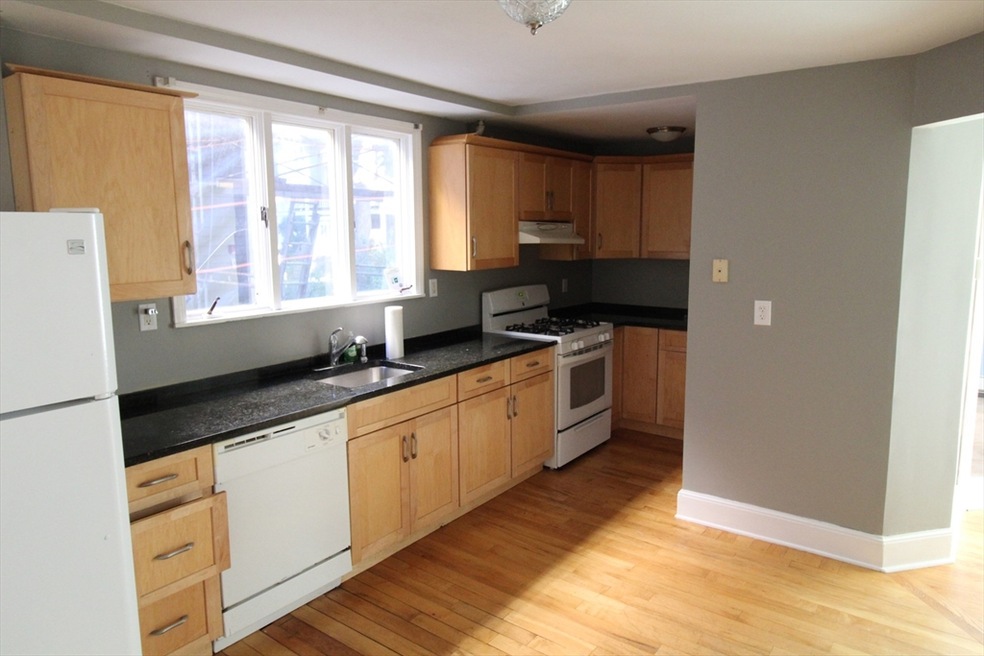 260 Brookline St unit 1, Cambridge, MA 02139 - photo 1