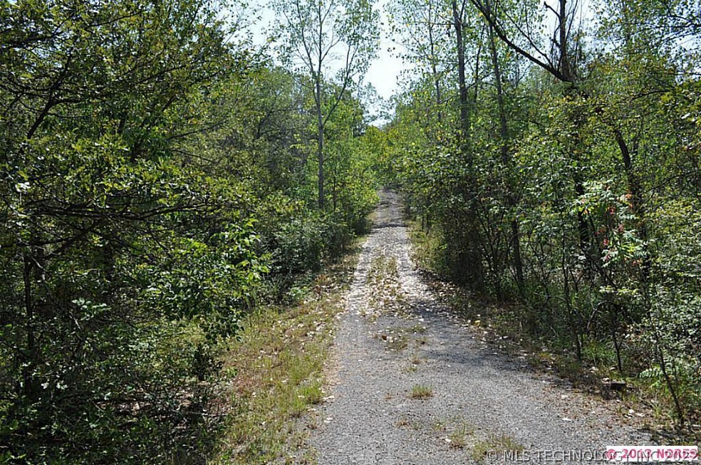 Driveway going into property.