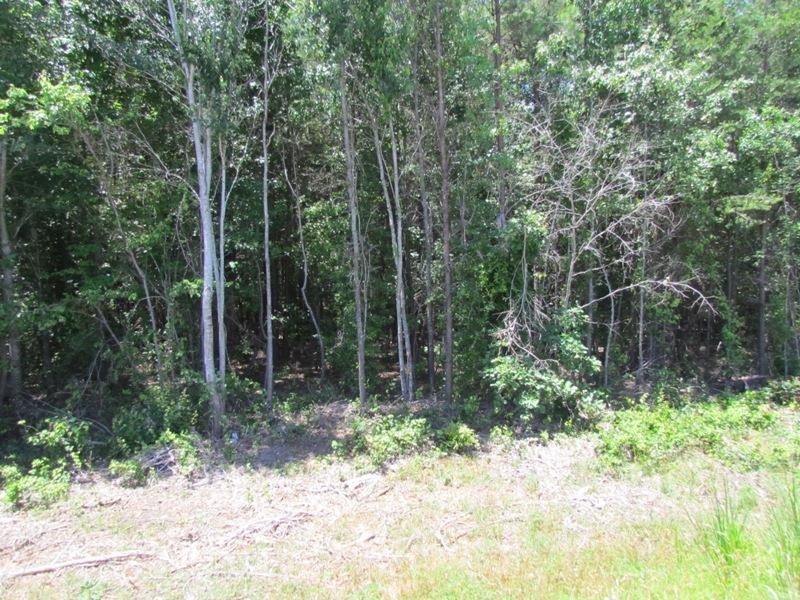 0 Highway 9 unit 291275, Inman, SC 29349 - photo 1