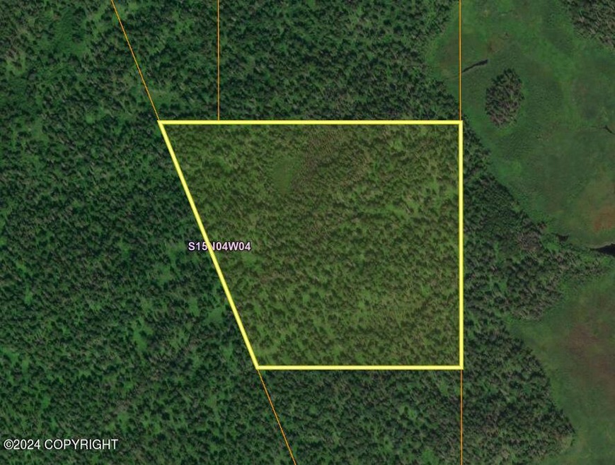 D001 W No Rd, Wasilla, AK 99654 - photo 1